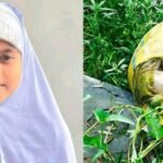 নিখোঁজের ৭ দিন পর ডোবায় মিলল শিশু কলির বস্তাবন্দি টুকরো টুকরো মরদেহ