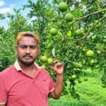 মাল্টা চাষে বাজিমাত বকুলের, ৫ লাখে খরচে আয় ৩০ লাখ টাকা